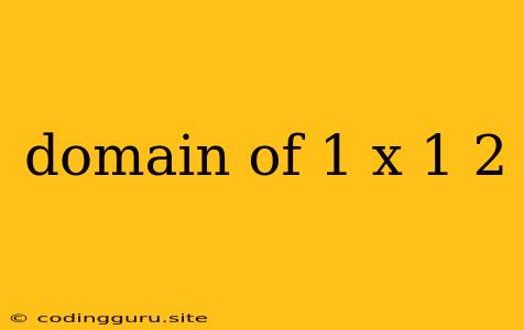 Domain Of 1 X 1 2