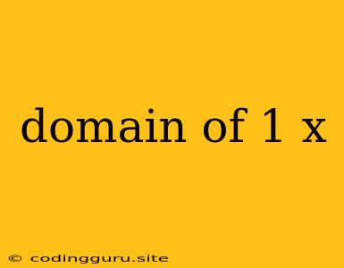 Domain Of 1 X