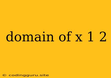 Domain Of X 1 2