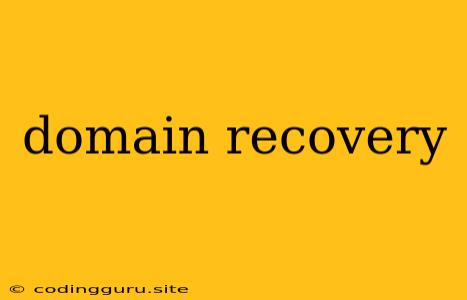 Domain Recovery