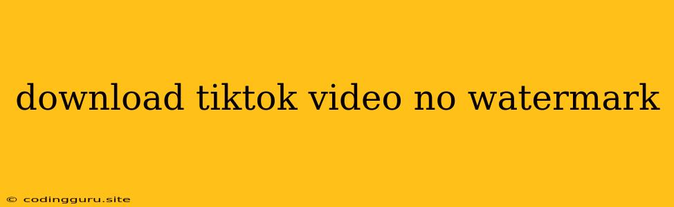 Download Tiktok Video No Watermark