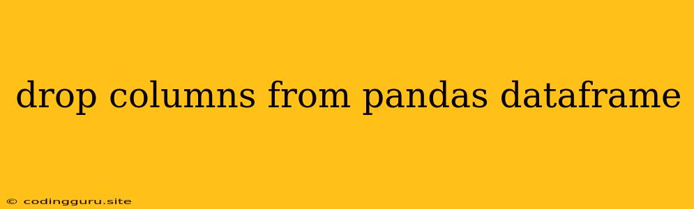 Drop Columns From Pandas Dataframe