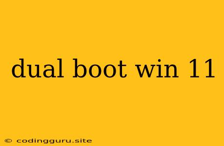 Dual Boot Win 11