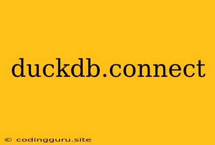 Duckdb.connect