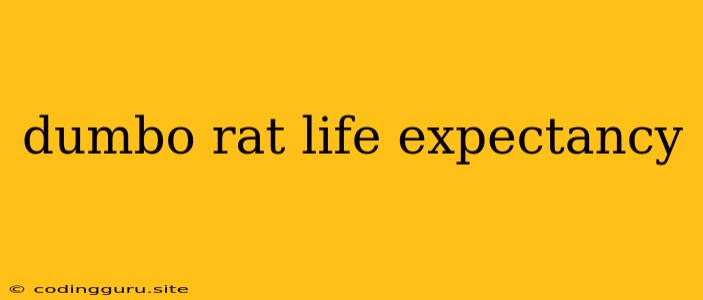 Dumbo Rat Life Expectancy