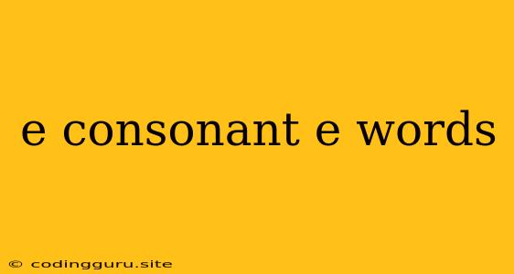 E Consonant E Words