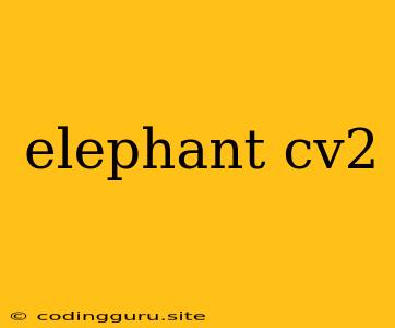 Elephant Cv2