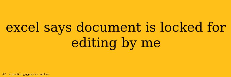 Excel Says Document Is Locked For Editing By Me