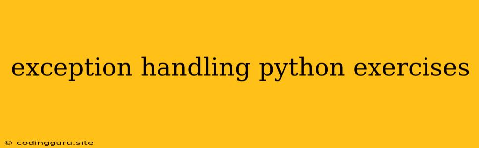 Exception Handling Python Exercises