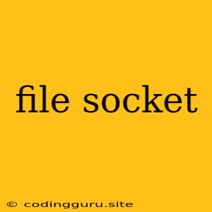 File Socket