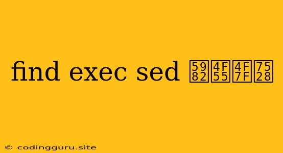 Find Exec Sed 如何使用