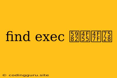 Find Exec 如何使用