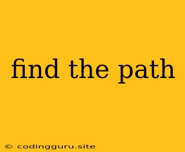 Find The Path