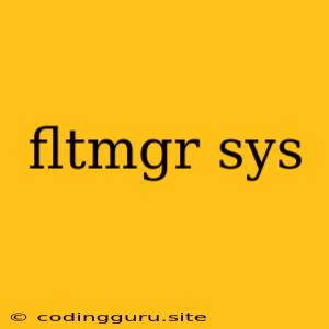 Fltmgr Sys