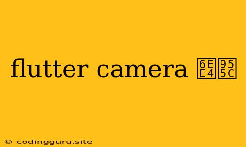 Flutter Camera 滤镜