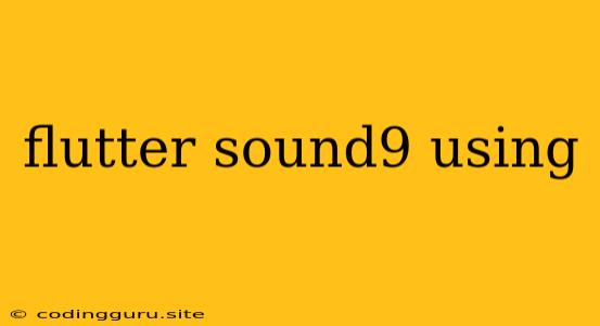 Flutter Sound9 Using