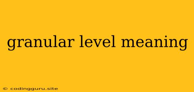 Granular Level Meaning