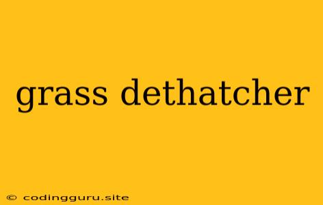 Grass Dethatcher