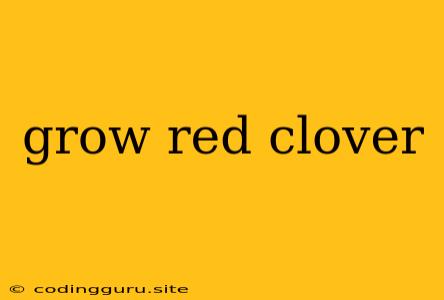 Grow Red Clover