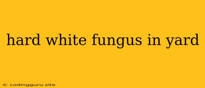 Hard White Fungus In Yard