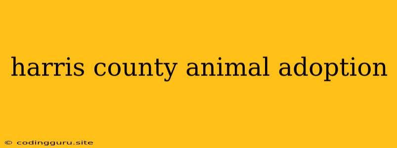 Harris County Animal Adoption