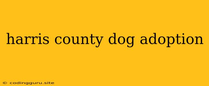 Harris County Dog Adoption