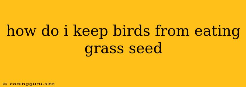 How Do I Keep Birds From Eating Grass Seed