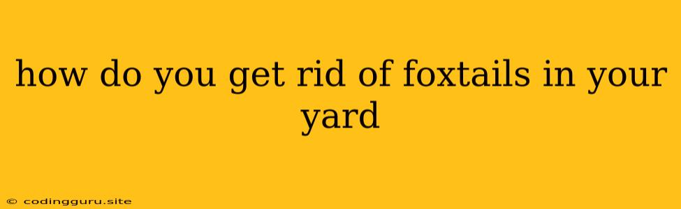 How Do You Get Rid Of Foxtails In Your Yard