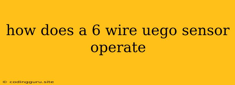 How Does A 6 Wire Uego Sensor Operate