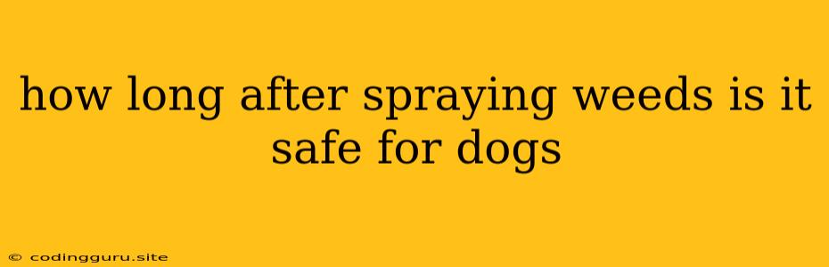 How Long After Spraying Weeds Is It Safe For Dogs