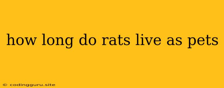 How Long Do Rats Live As Pets