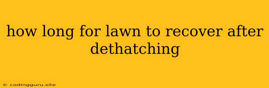 How Long For Lawn To Recover After Dethatching