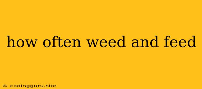 How Often Weed And Feed