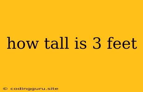 How Tall Is 3 Feet