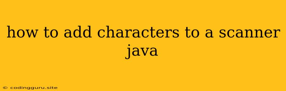 How To Add Characters To A Scanner Java