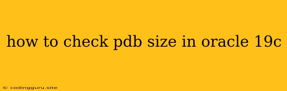 How To Check Pdb Size In Oracle 19c