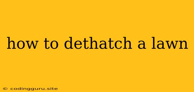 How To Dethatch A Lawn