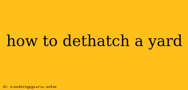 How To Dethatch A Yard