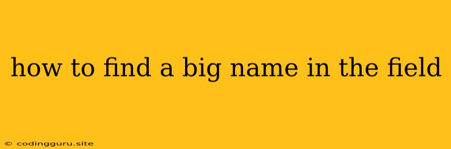 How To Find A Big Name In The Field