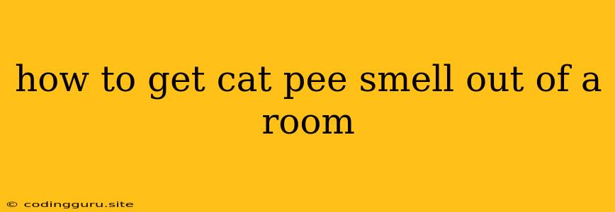 How To Get Cat Pee Smell Out Of A Room