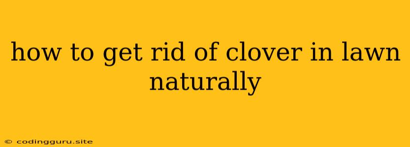 How To Get Rid Of Clover In Lawn Naturally