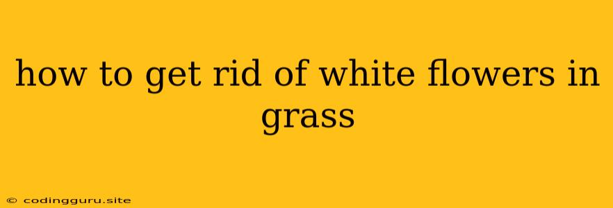 How To Get Rid Of White Flowers In Grass