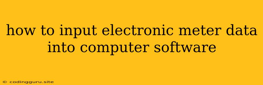 How To Input Electronic Meter Data Into Computer Software