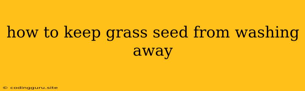 How To Keep Grass Seed From Washing Away