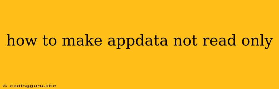 How To Make Appdata Not Read Only