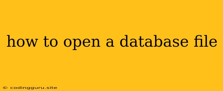 How To Open A Database File