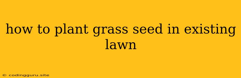 How To Plant Grass Seed In Existing Lawn