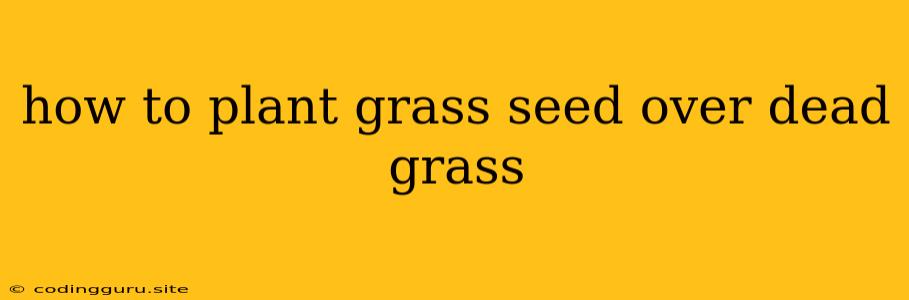 How To Plant Grass Seed Over Dead Grass