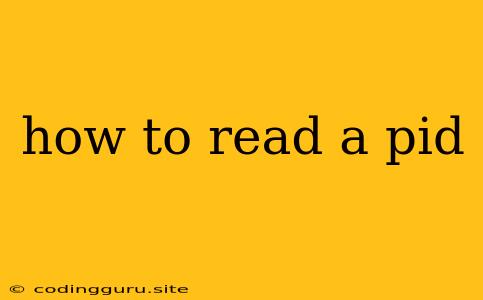 How To Read A Pid