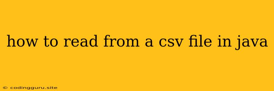 How To Read From A Csv File In Java